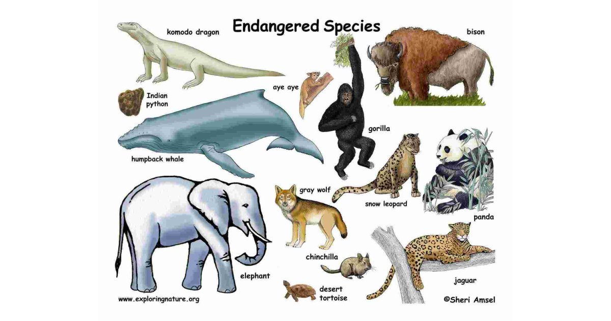 Endanger Meaning and Definition