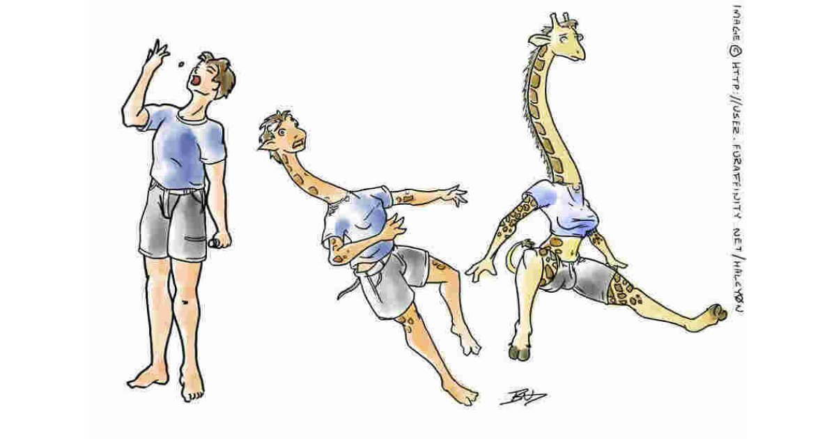 Enhancement Meaning and Definition