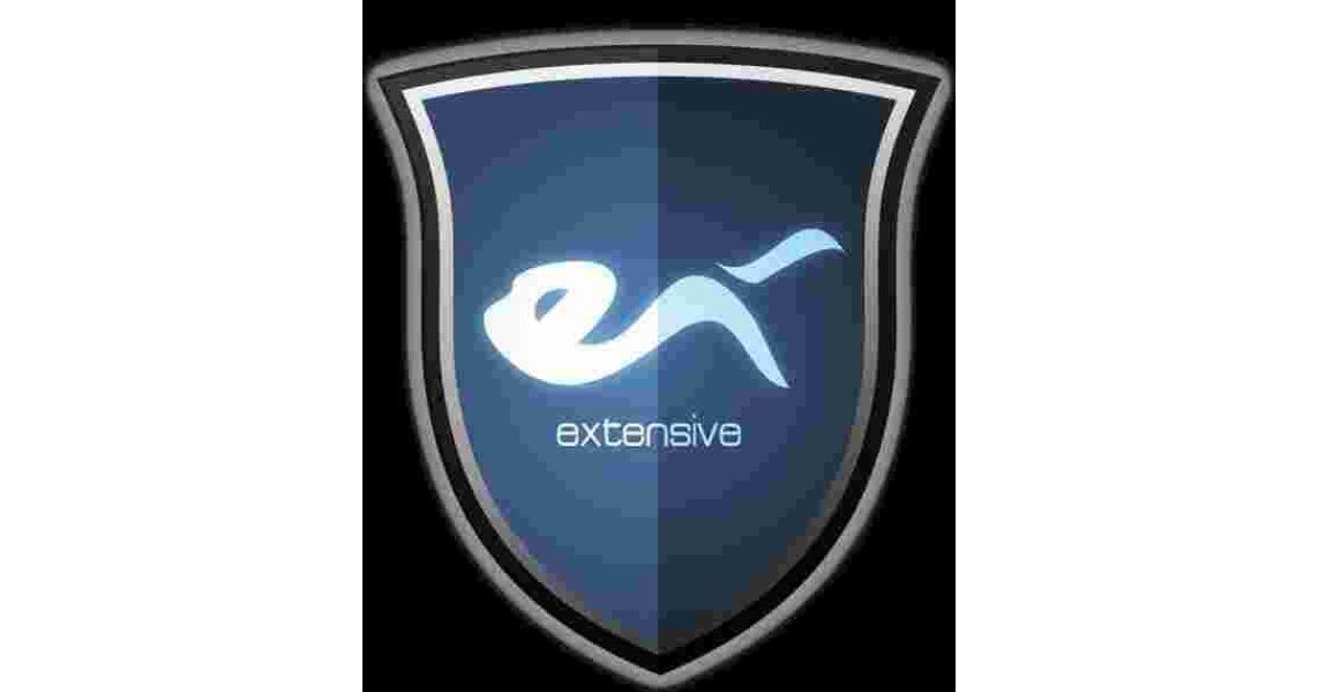 Extensive Meaning and Definition