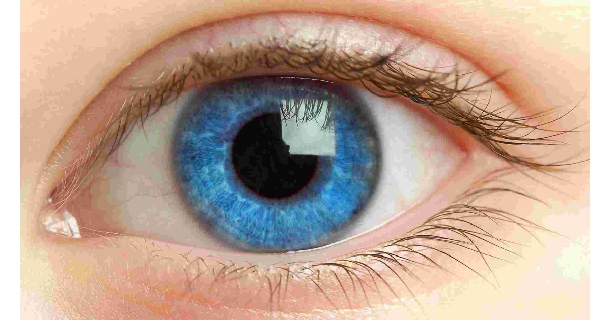 Eye Meaning and Definition