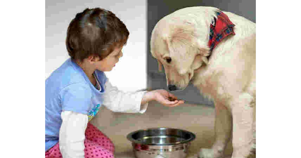 Feeding Meaning and Definition