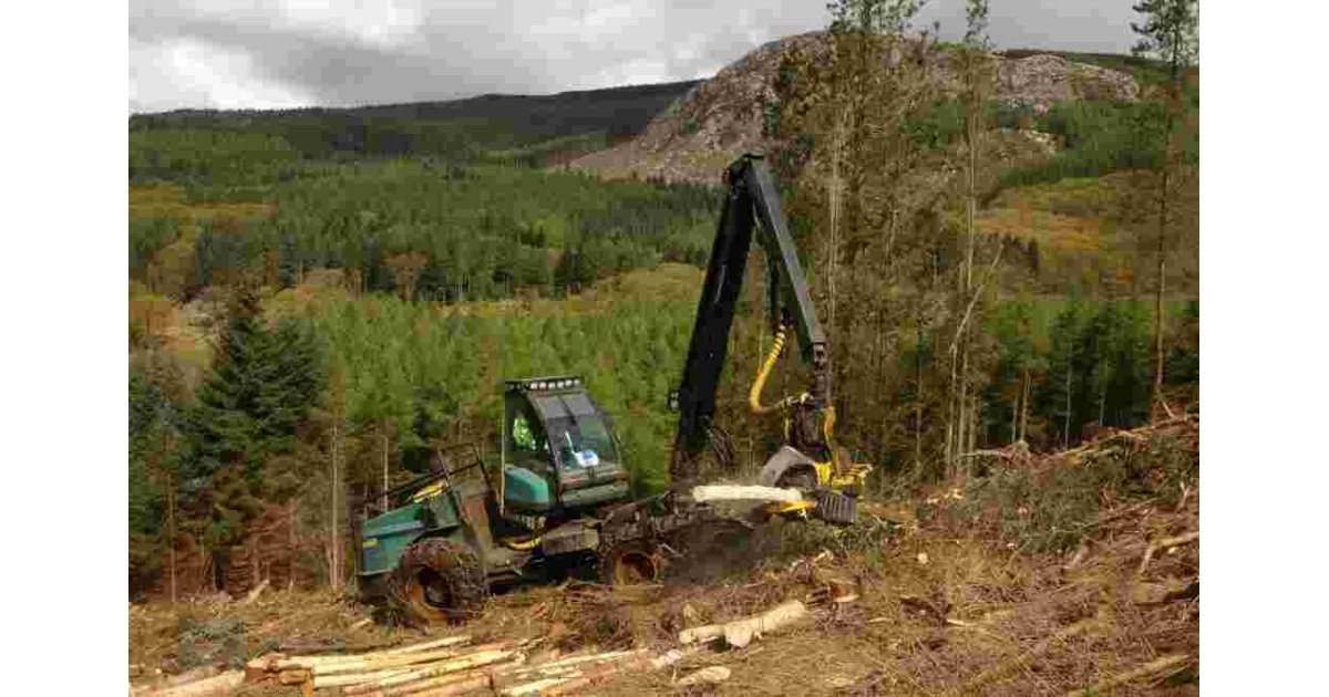 Forestry Meaning and Definition