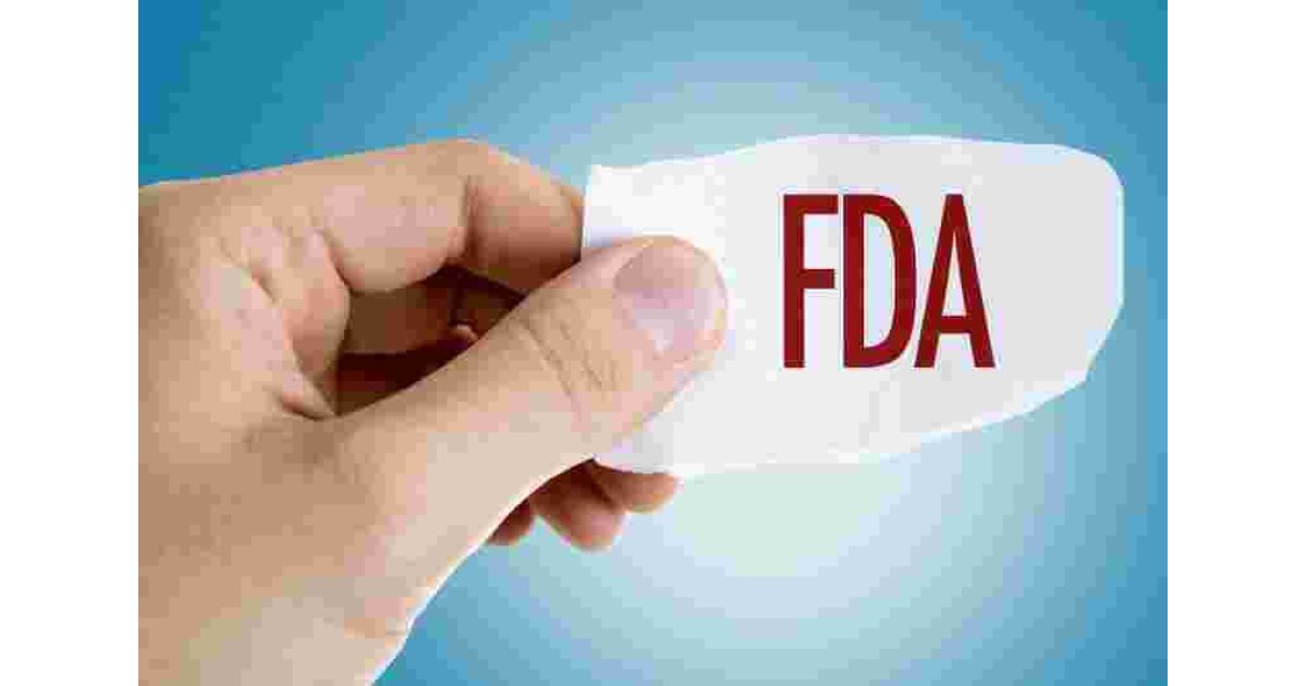 Fraudulent Meaning and Definition