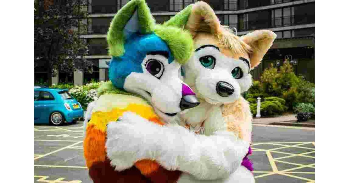 Furry Meaning and Definition