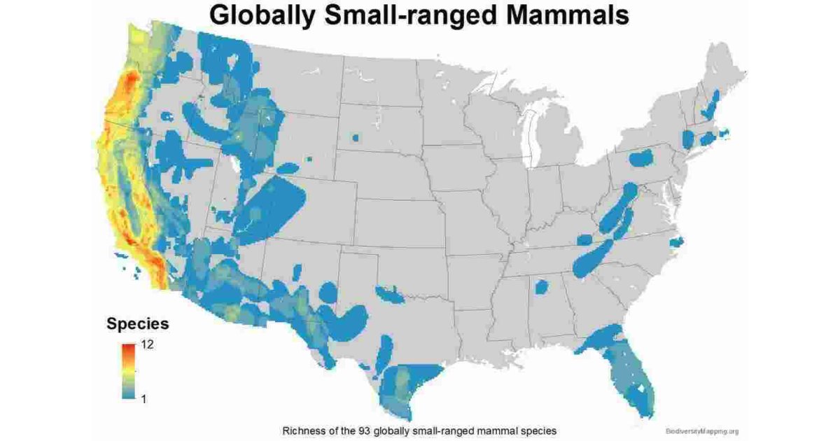 Globally Meaning and Definition
