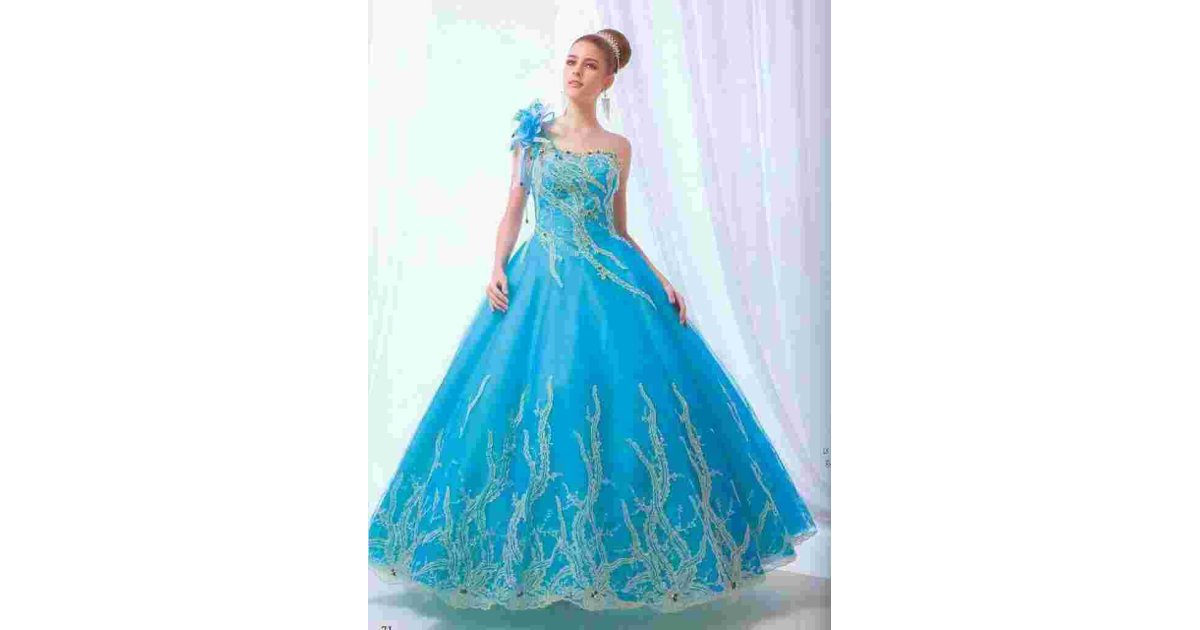 Gowns Meaning and Definition