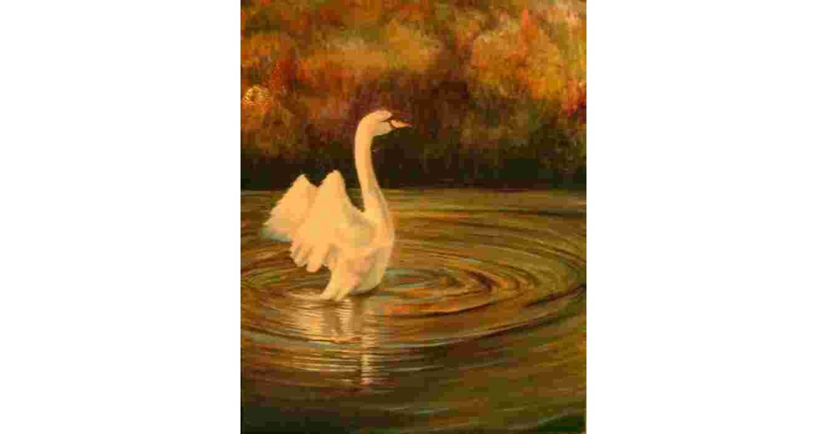 Graceful Meaning and Definition