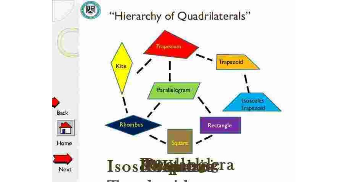 Hierarchy Meaning and Definition