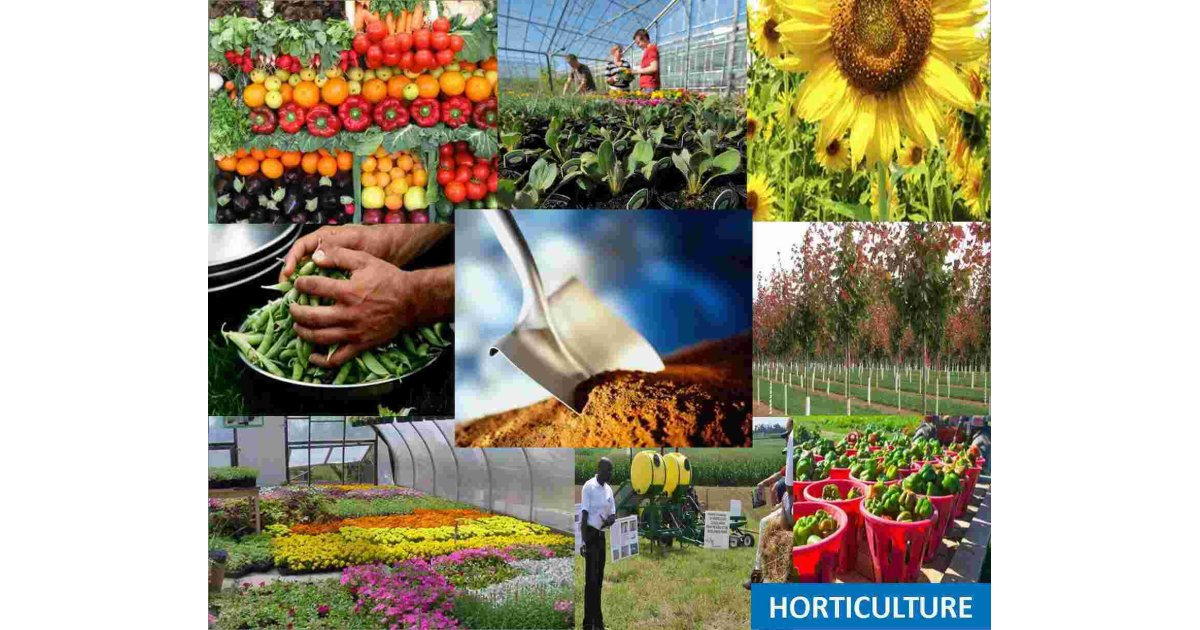 Horticulture Meaning and Definition