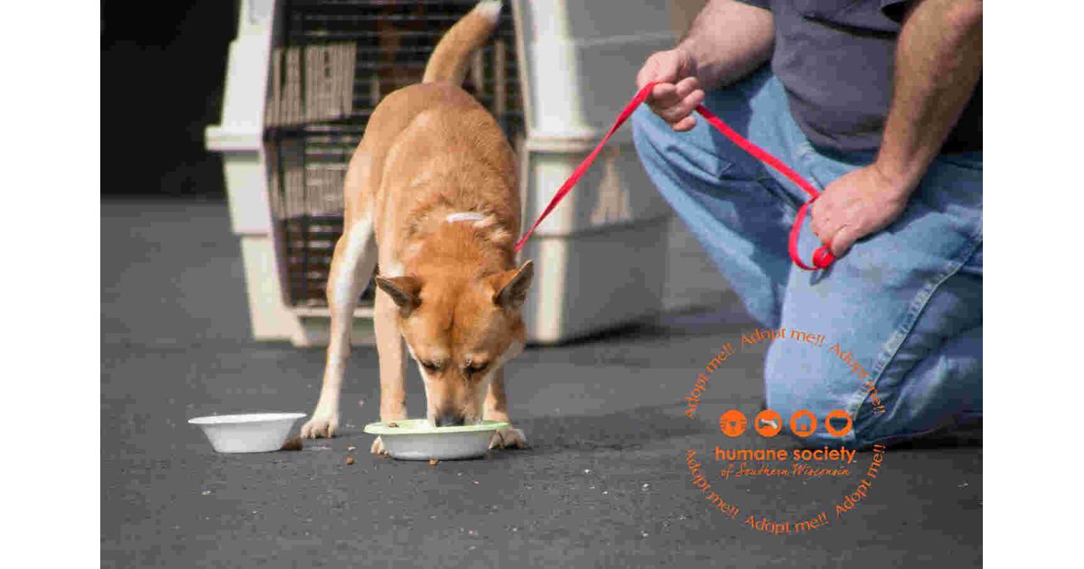 Humane Meaning and Definition