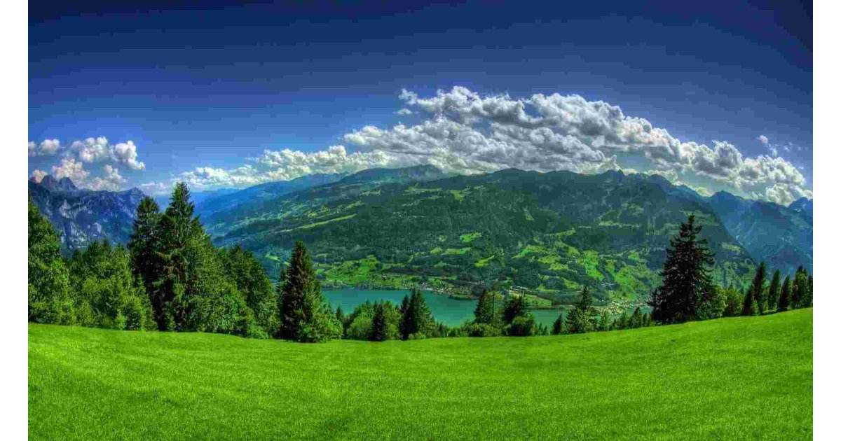 Image Meaning and Definition