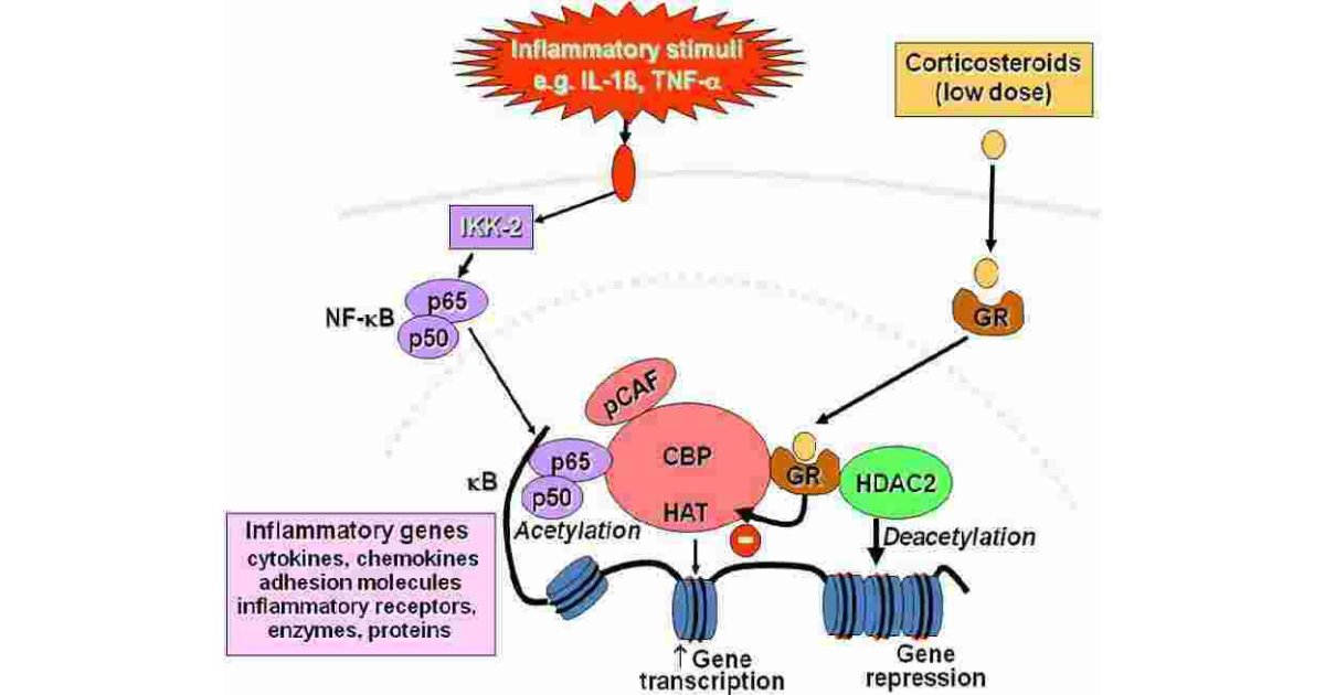 Inflammatory Meaning and Definition