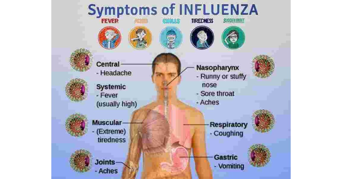 Influenza Meaning and Definition