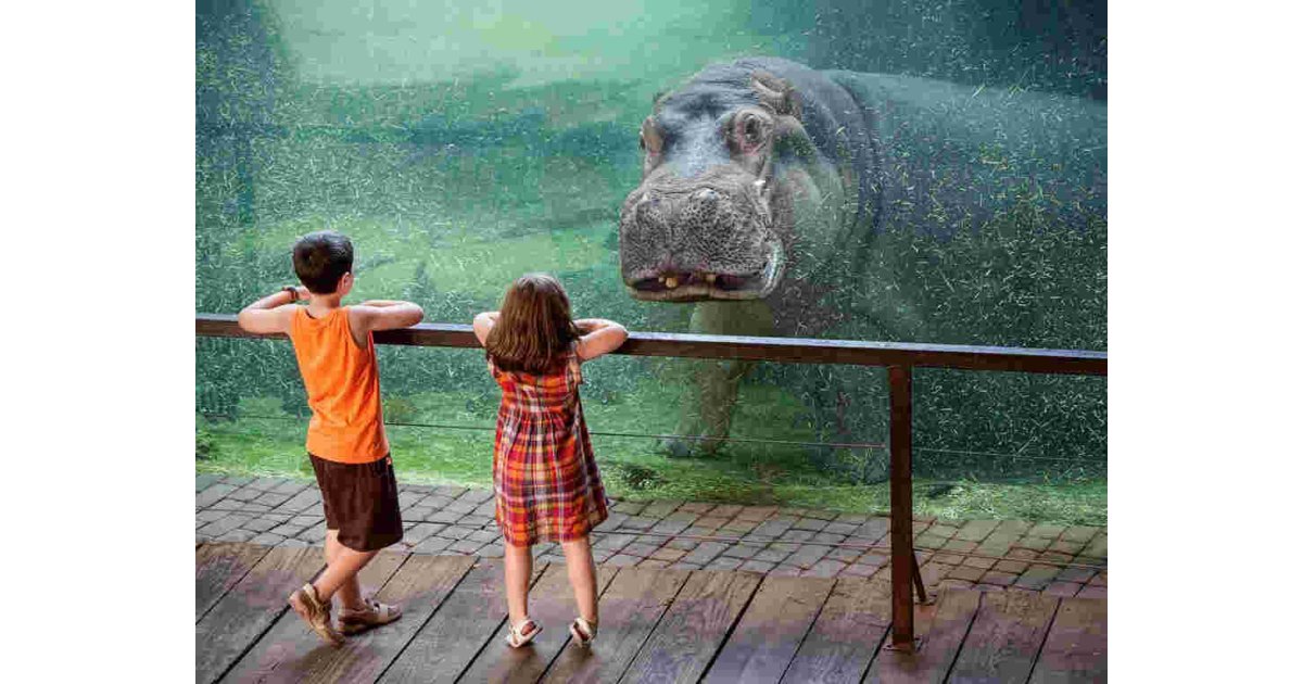 Interesting Meaning and Definition