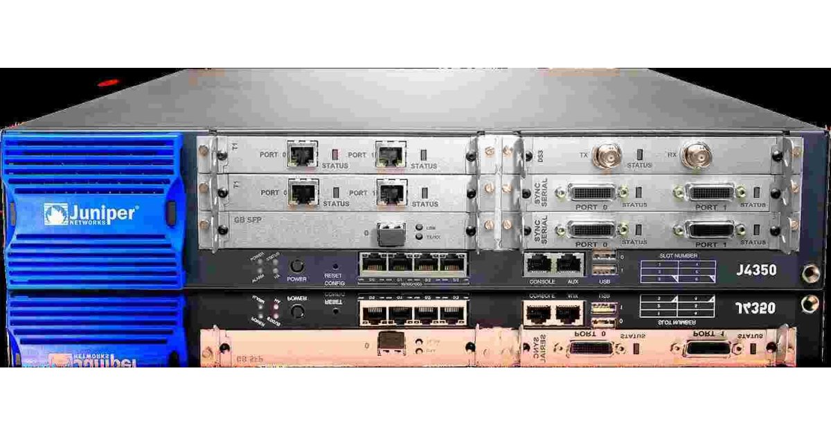 Juniper Meaning and Definition