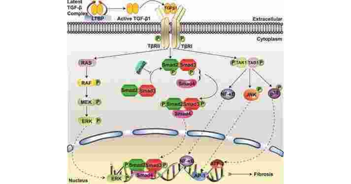 Latent Meaning and Definition