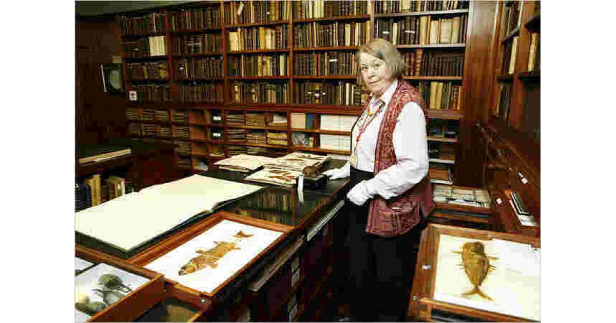 Librarian Meaning and Definition