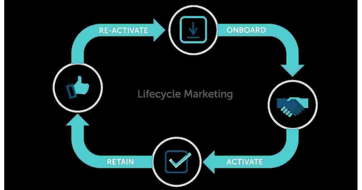 Lifecycle Meaning and Definition