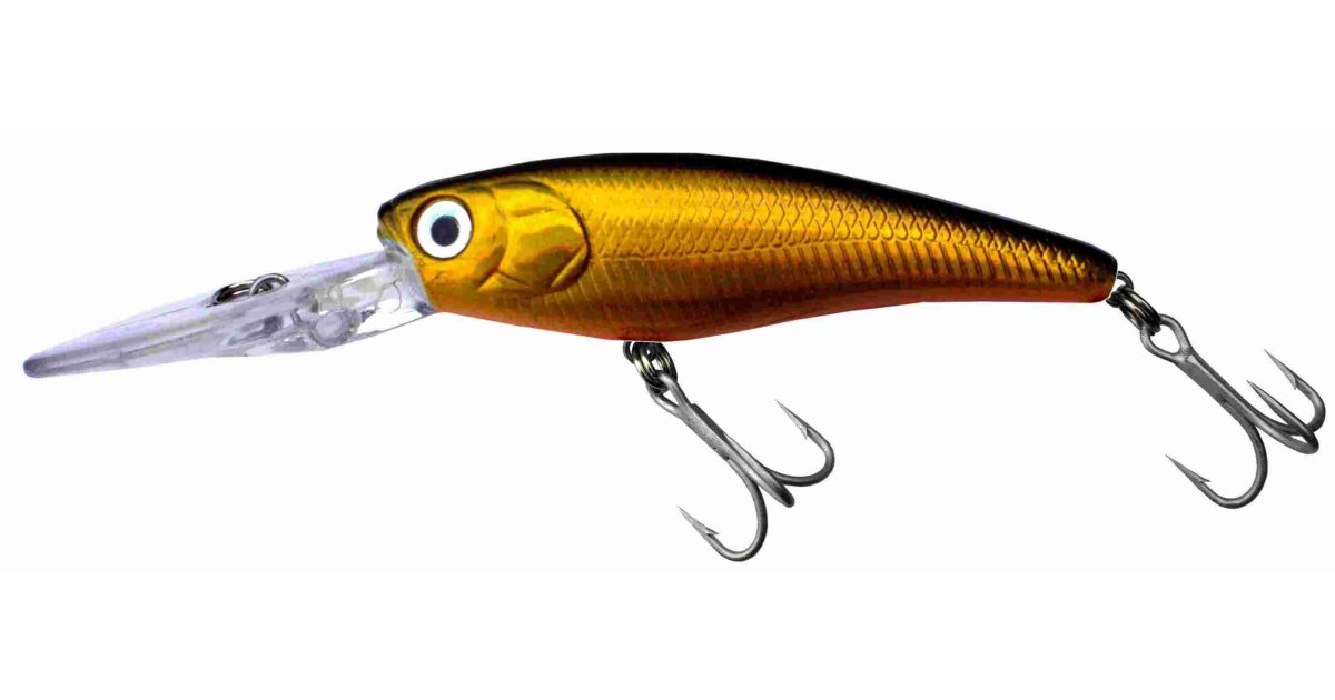 Lure Meaning and Definition