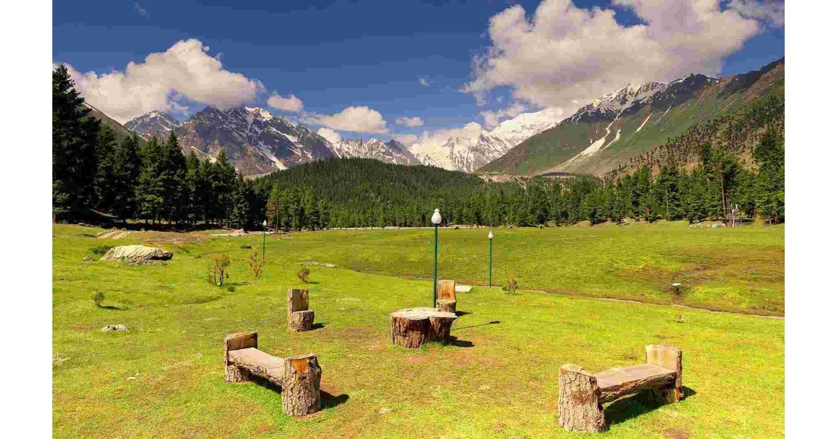 Meadow Meaning and Definition