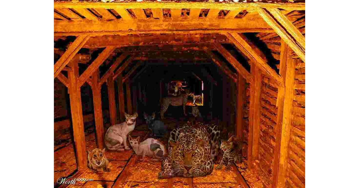 Mine Meaning and Definition