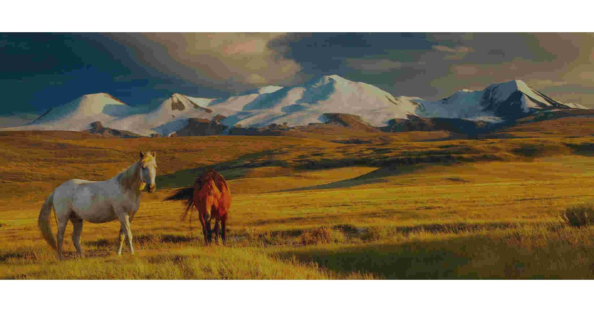 Mongolia Meaning and Definition