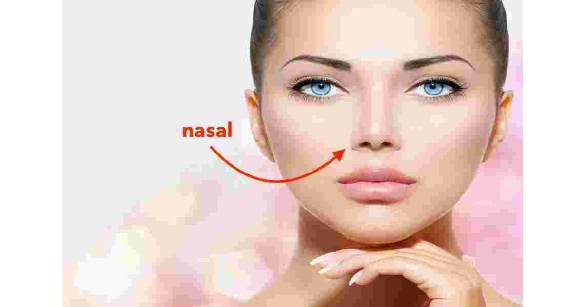 Nasal Meaning and Definition