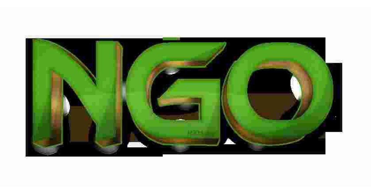 Ngo Meaning and Definition