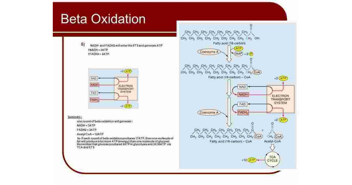 Oxidation Meaning and Definition