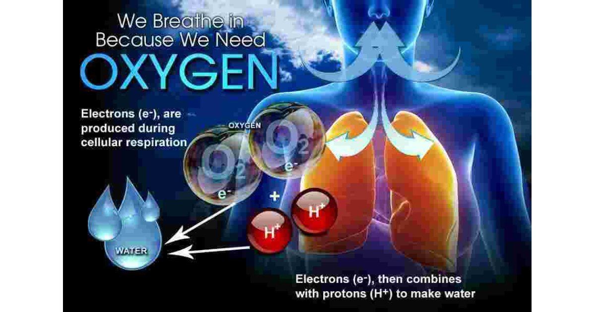 Oxygen Meaning and Definition