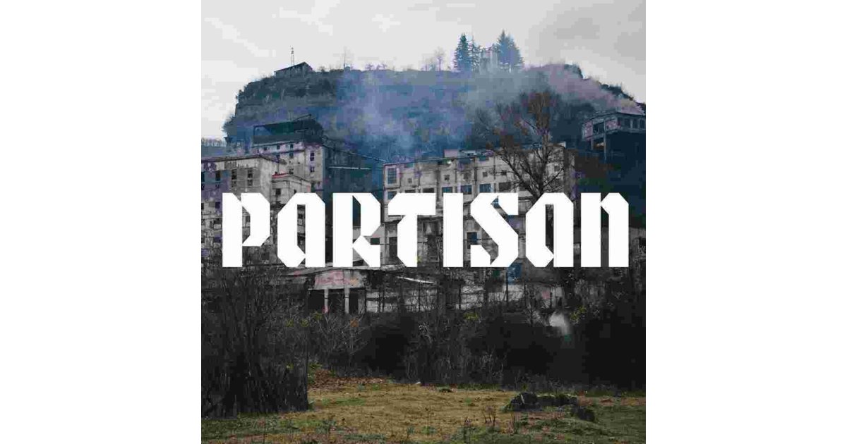 Partisan Meaning and Definition