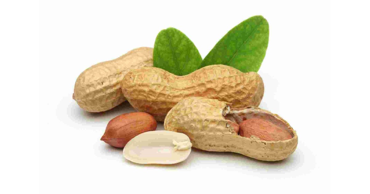 Peanut Meaning and Definition
