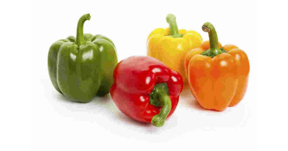 Pepper Meaning and Definition