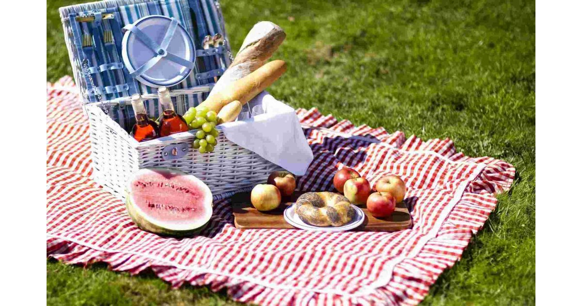 Picnic Meaning and Definition