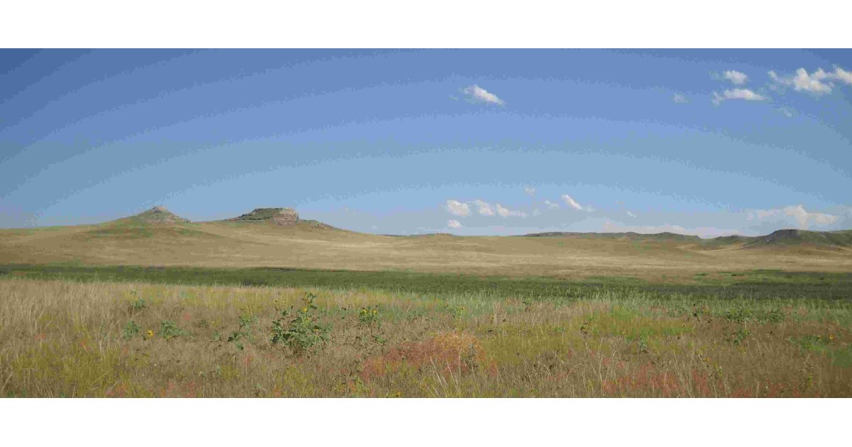 Plains Meaning and Definition