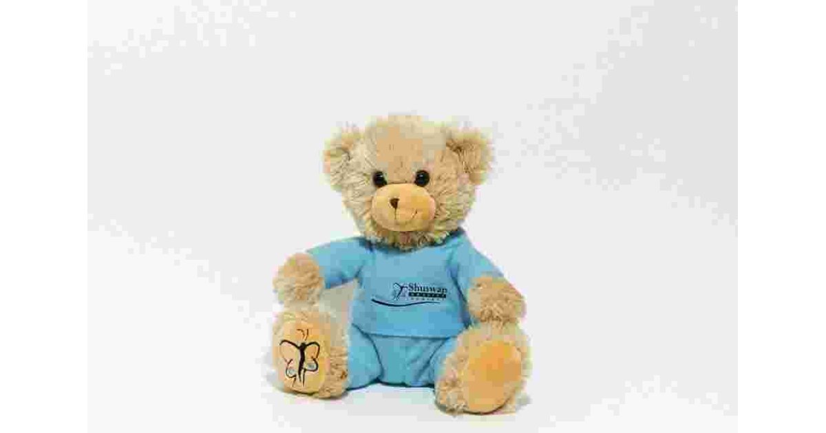 Plush Meaning and Definition