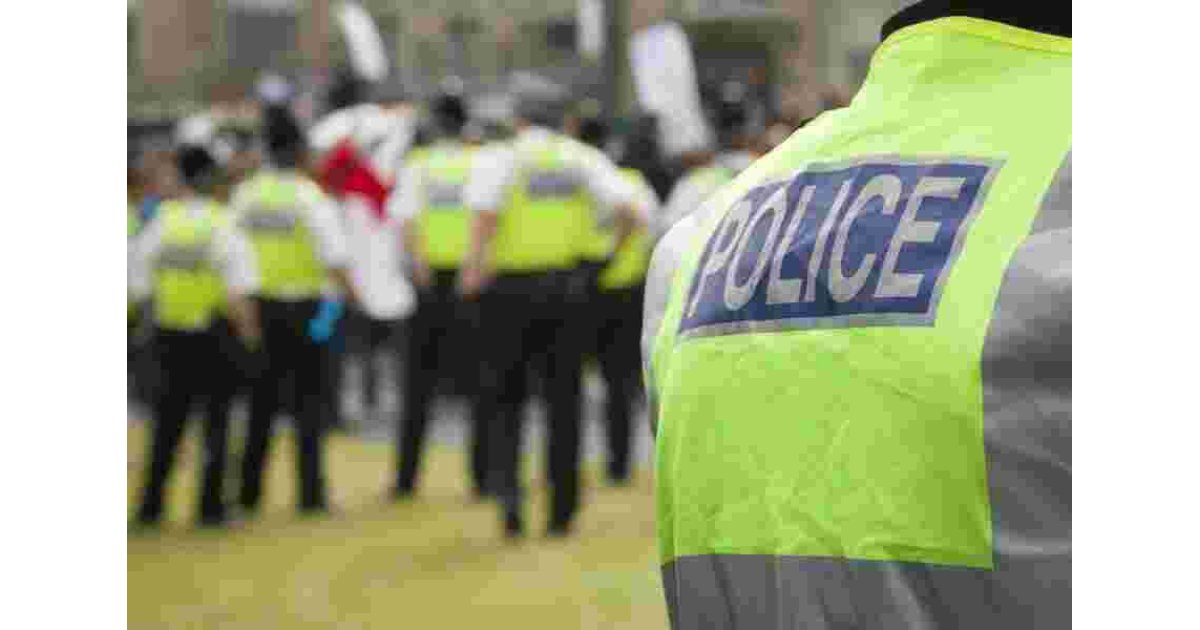 Police Meaning and Definition