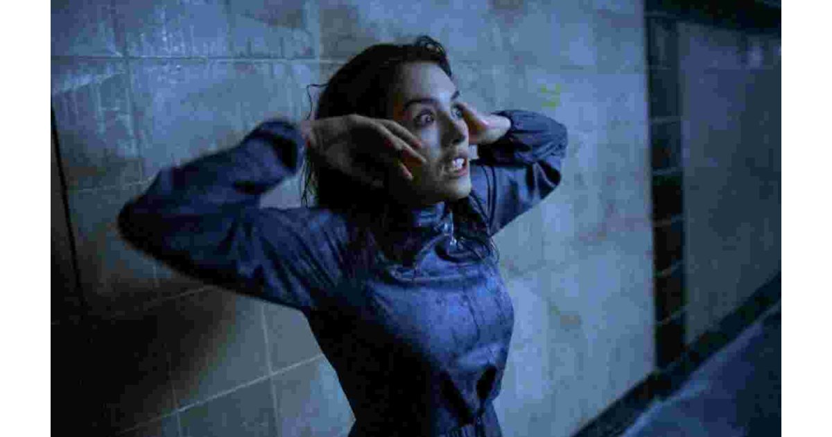 Possession Meaning and Definition