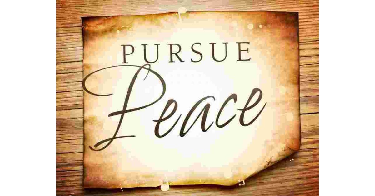 Pursue Meaning and Definition