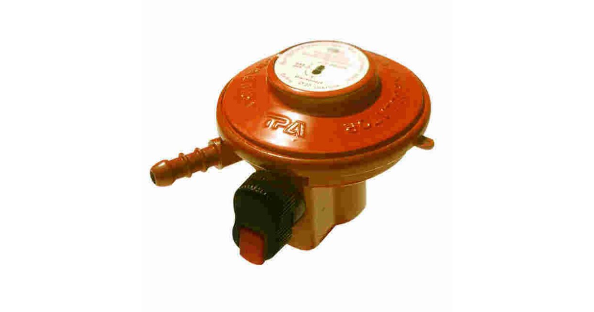 Regulator Meaning and Definition