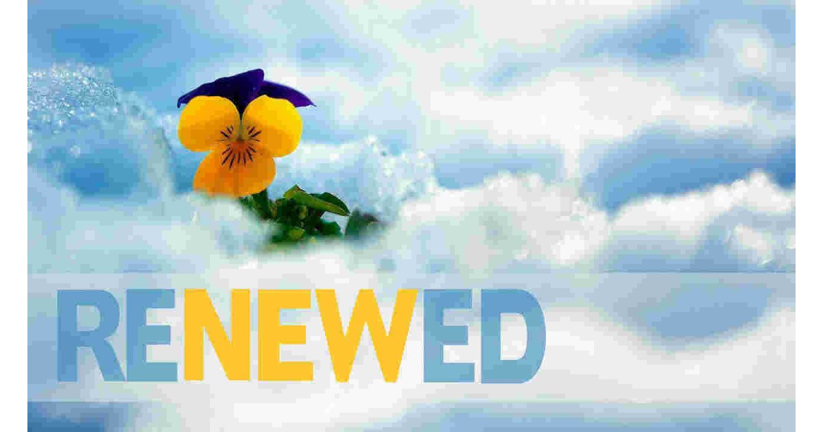 Renewed Meaning and Definition