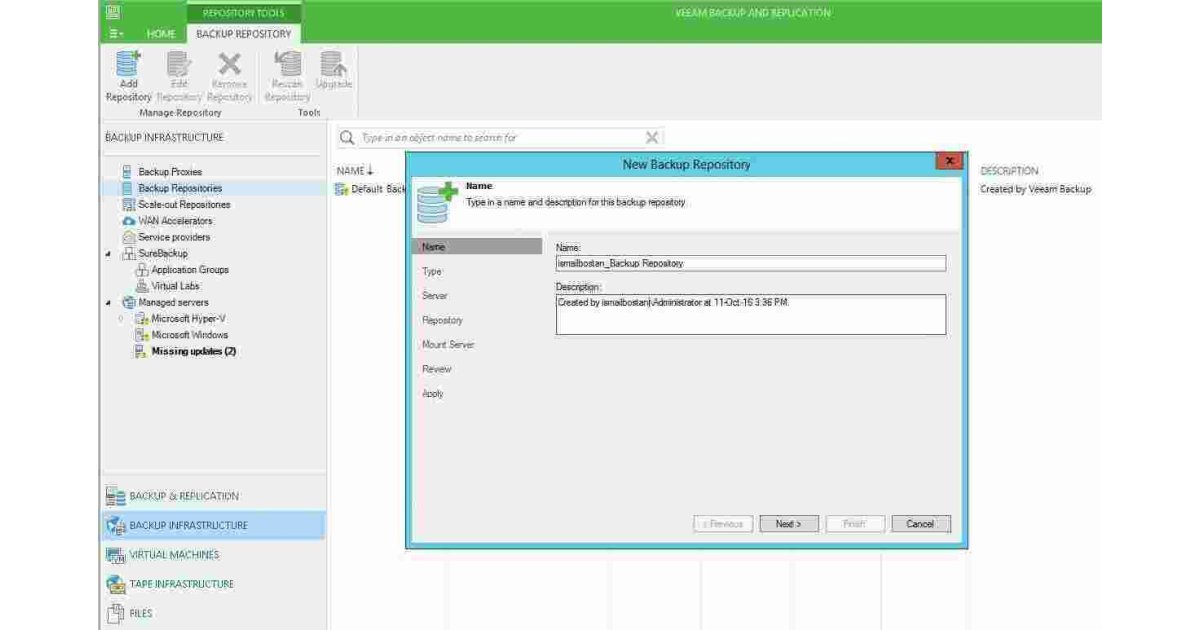 Repository Meaning and Definition