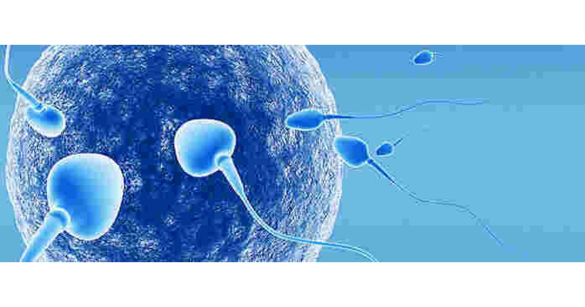 Reproduction Meaning and Definition