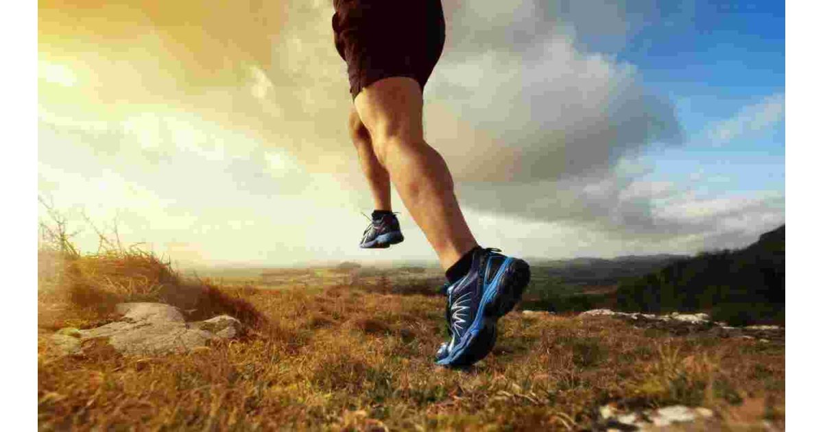 Runner Meaning and Definition