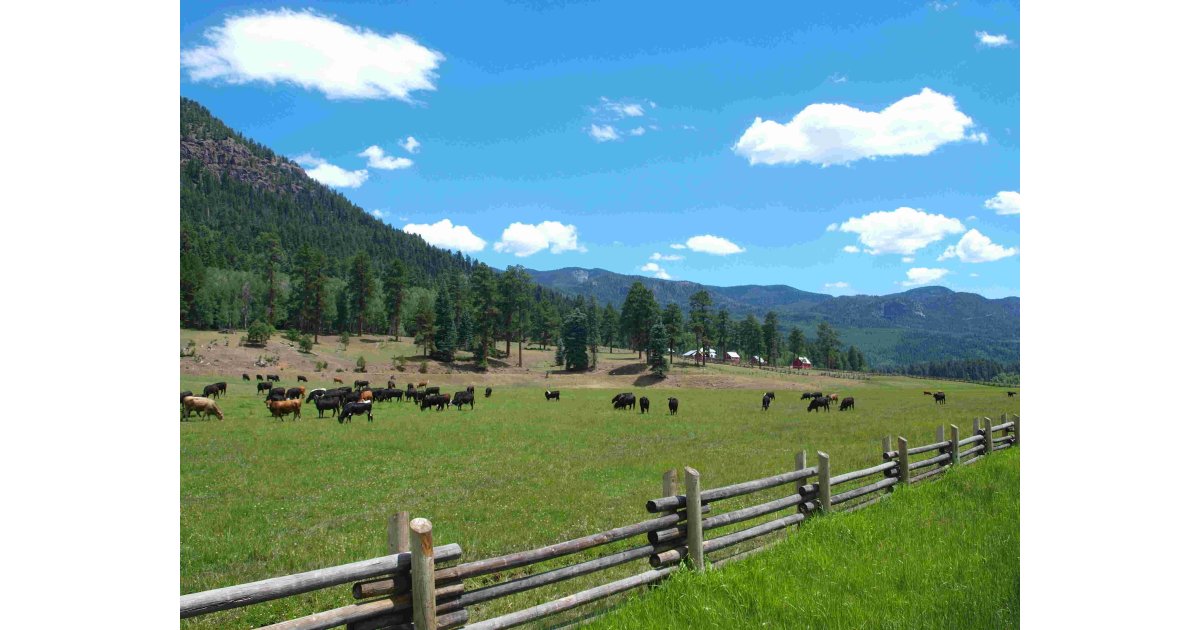 Rural Meaning and Definition