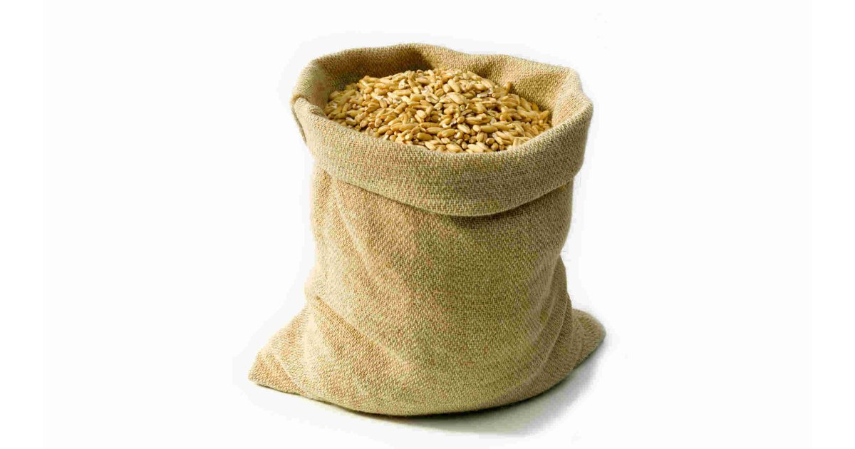 Sack Meaning and Definition