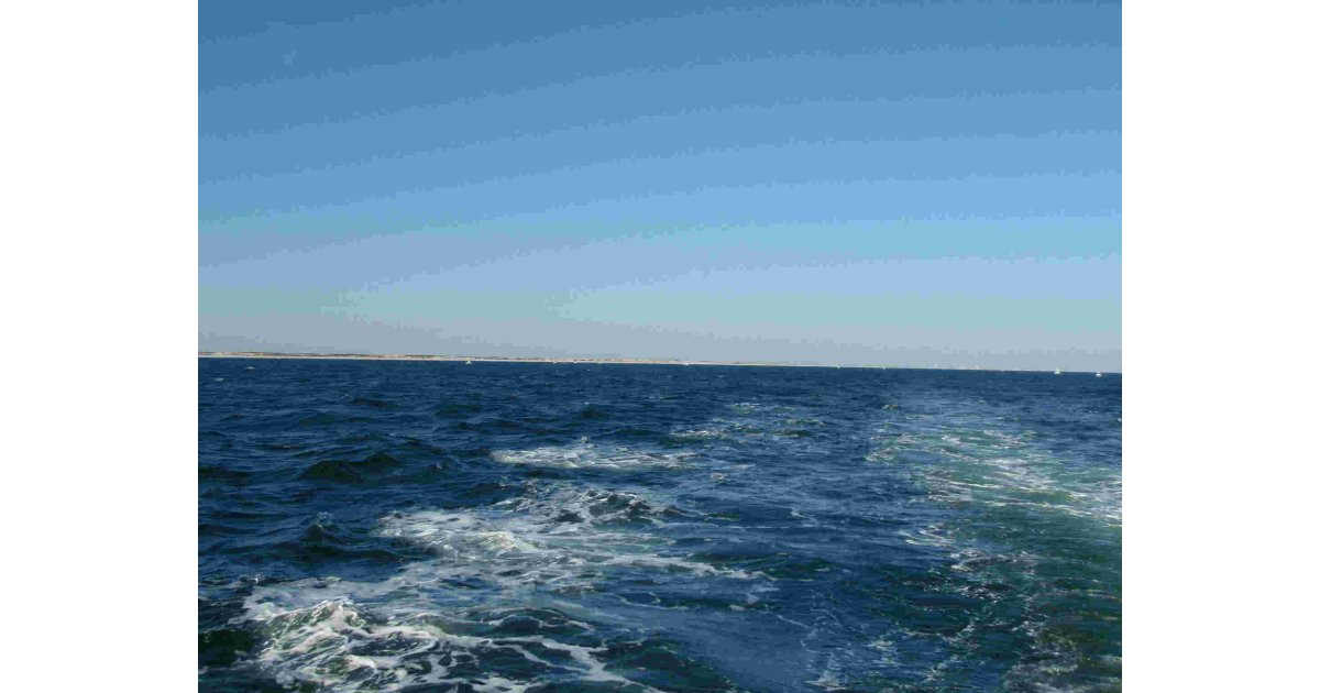 Saltwater Meaning and Definition