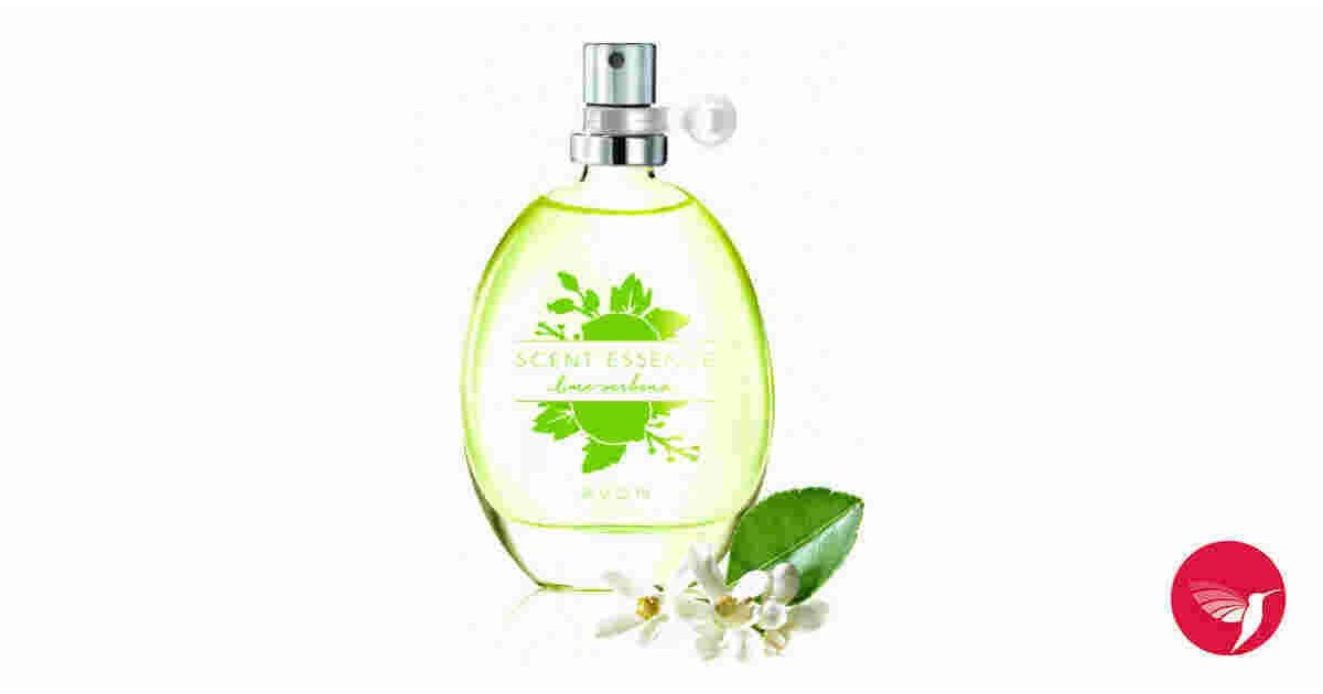 Scent Meaning and Definition