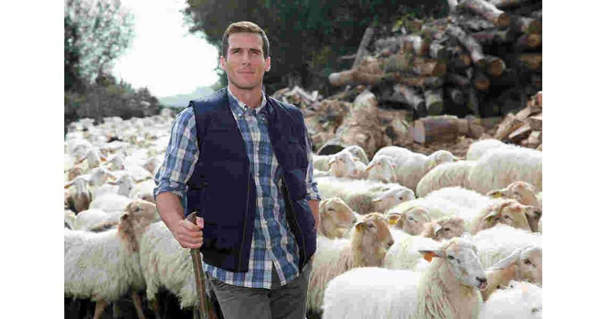 Shepherd Meaning and Definition