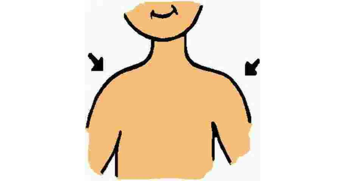 Shoulder Meaning and Definition